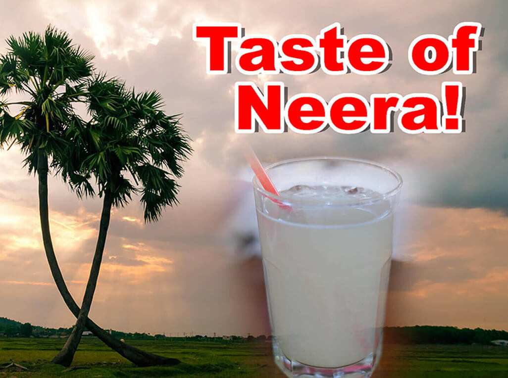 Taste of Neera!