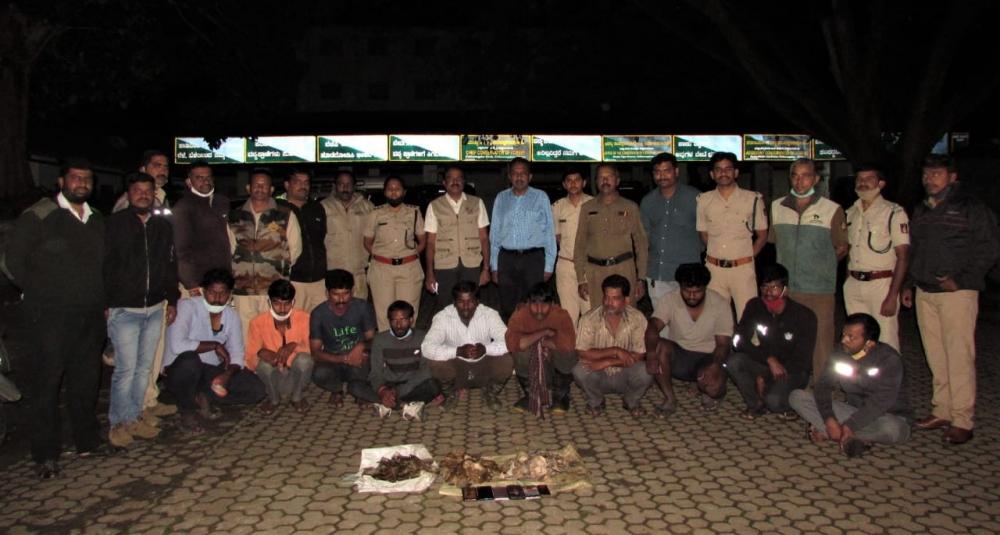 The Weekend Leader - Pangolin trading racket busted in Karnataka's Chikkamagaluru, 10 held