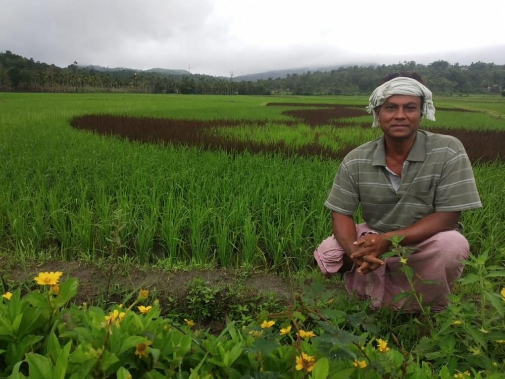 The Weekend Leader - Teacher-turned-farmer creates 'paddy art' to promote farming