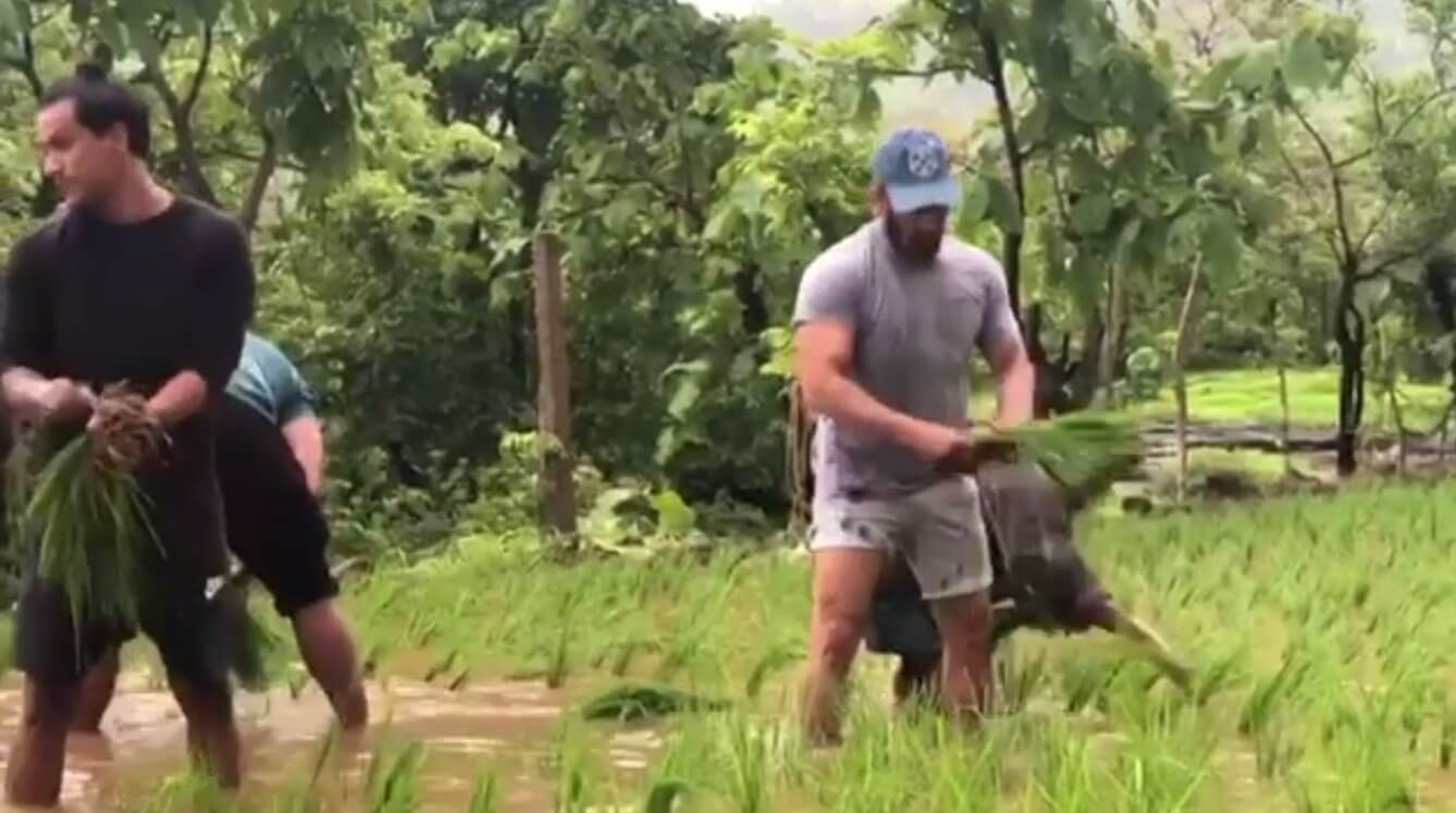 Salman Khan plants rice saplings at the farm
