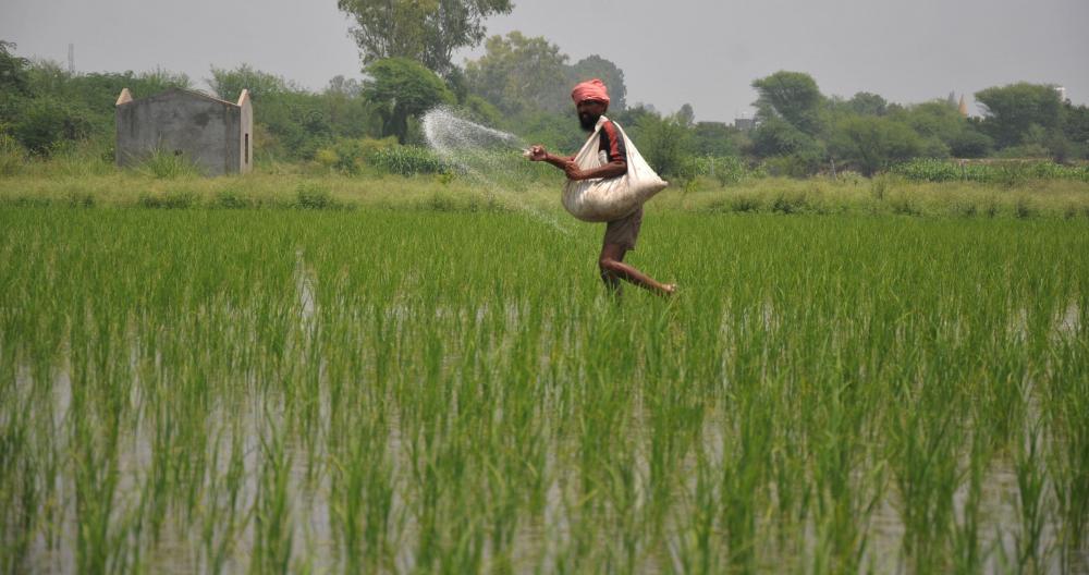 The Weekend Leader - No shortage of fertilisers, says Haryana minister