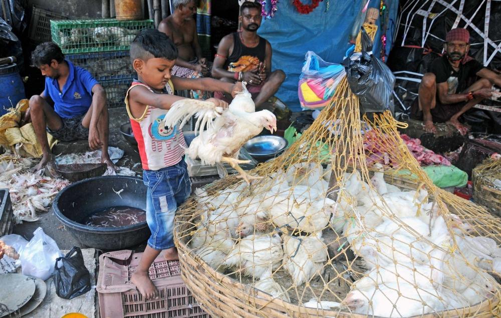 The Weekend Leader - K'taka: Poultry farmers urge govt to extend timings of chicken shops