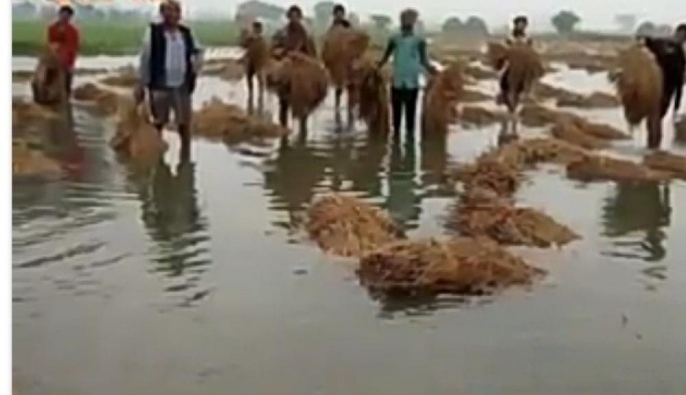 The Weekend Leader - TN to conduct study on farmers' losses due to heavy rain