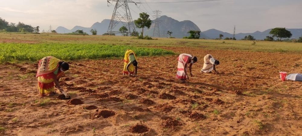 The Weekend Leader - Andhra to drill borewells for needy farmers under YSR Jala Kala