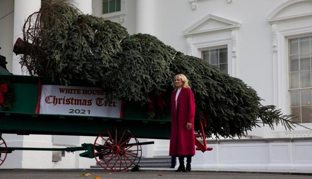 The Weekend Leader - Jill Biden receives WH Christmas Tree