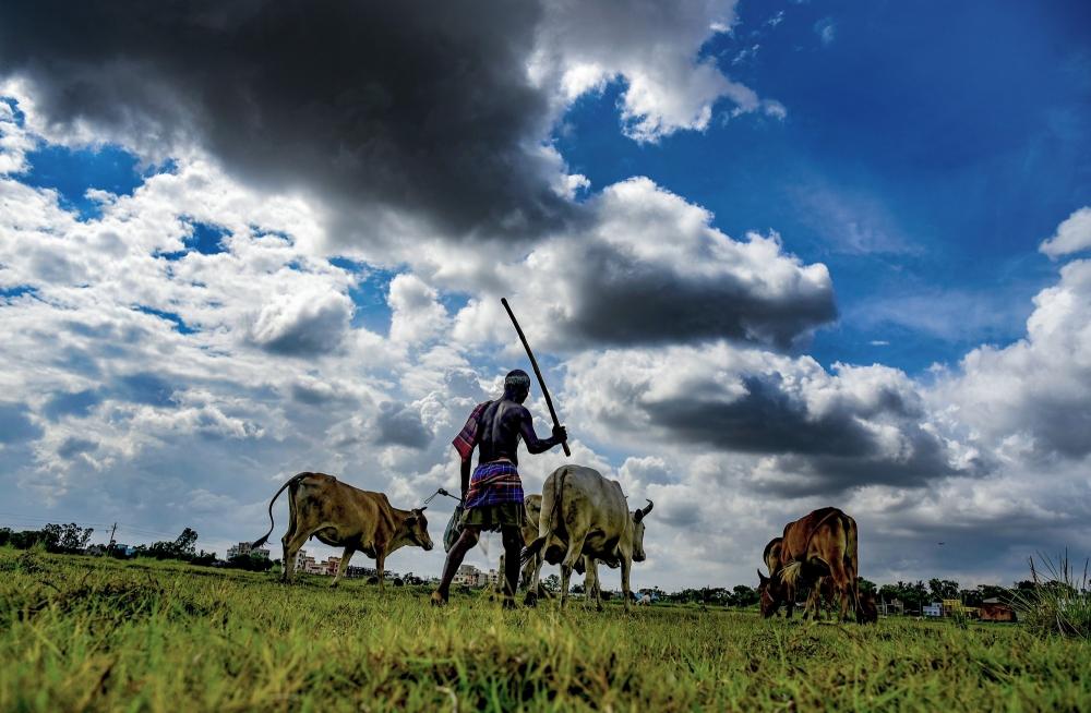 The Weekend Leader - Rain-hit TN farmers petition state govt for compensation