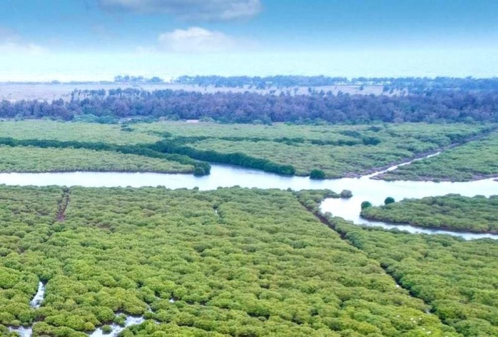 The Weekend Leader - Coastal Villages To Get Direct World Bank Funds For Mangrove Restoration In Tamil Nadu