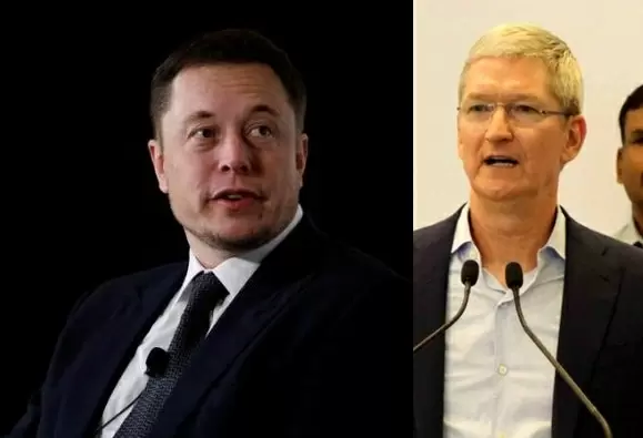 Musk trolls Cook over Apple's $19 cleaning cloth
