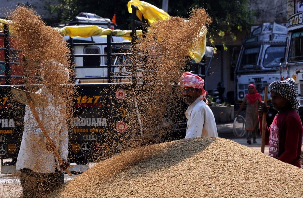 The Weekend Leader - Telangana minister threatens to dump paddy at India Gate