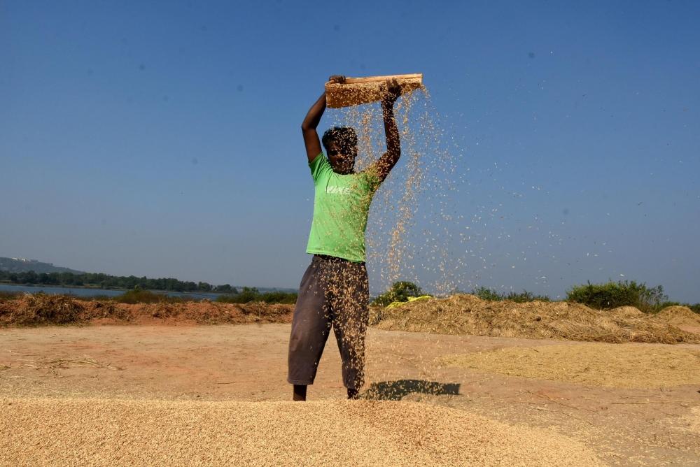 The Weekend Leader - Telangana focussing on alternative crops