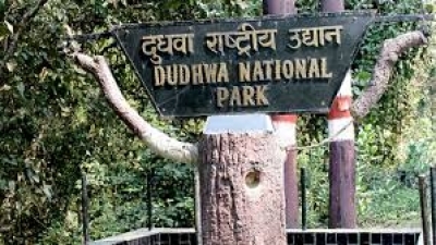 The Weekend Leader - Opening of Dudhwa Tiger Reserve may be delayed due to floods