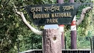 Opening of Dudhwa Tiger Reserve may be delayed due to floods