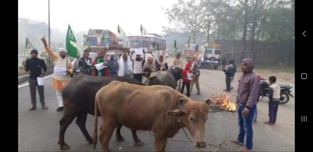 The Weekend Leader - Trade union strike hits Bihar, workers block roads with buffaloes