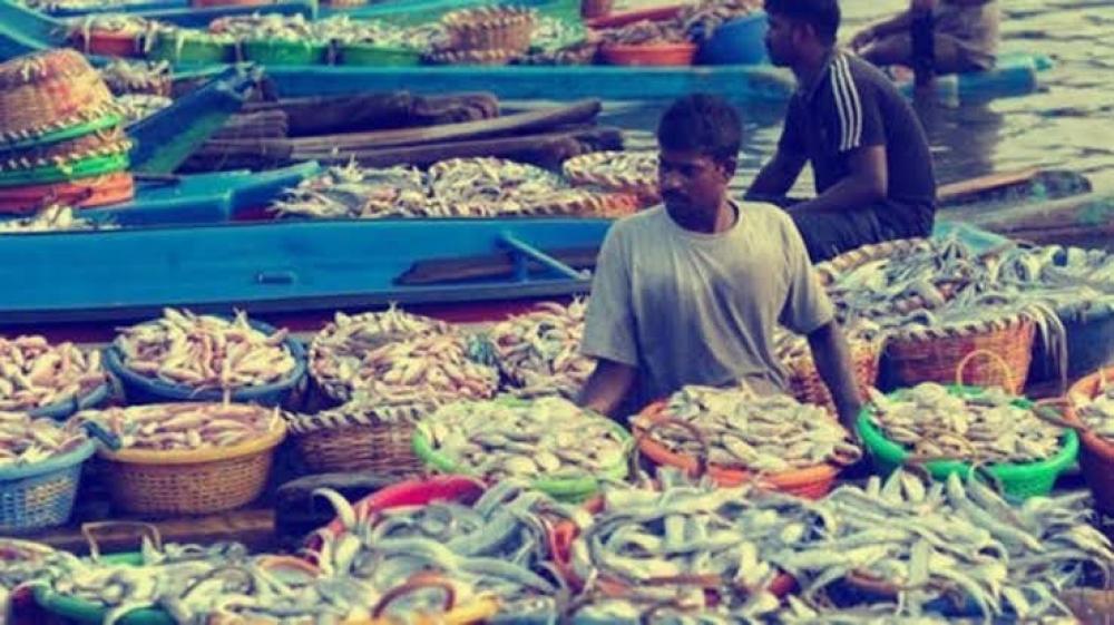 The Weekend Leader - US Tariff Hike Hits Tamil Nadu Seafood Exports, Shrimp Firms Slash Production by 50%