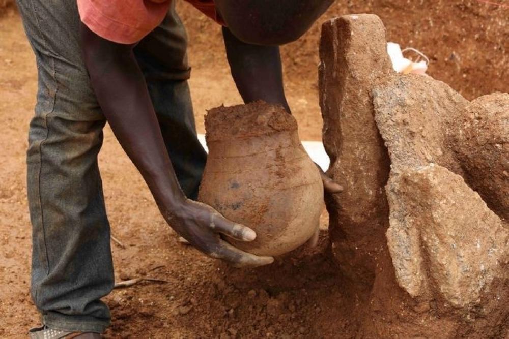 The Weekend Leader - Cooked leafy greens were first served 3,500 years ago: Study