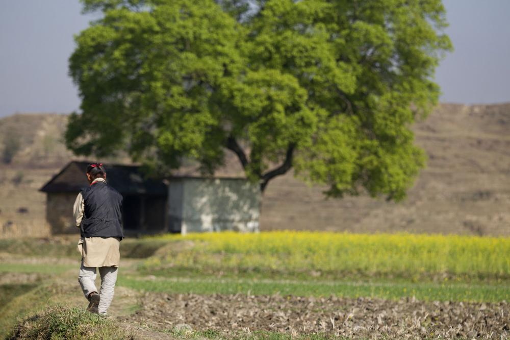 The Weekend Leader - Economic activities in rural India fared better in lockdown 2.0: Survey