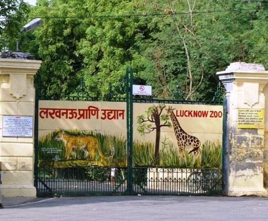 The Weekend Leader - Lucknow zoo launches 'sponsor a meal' for big cats
