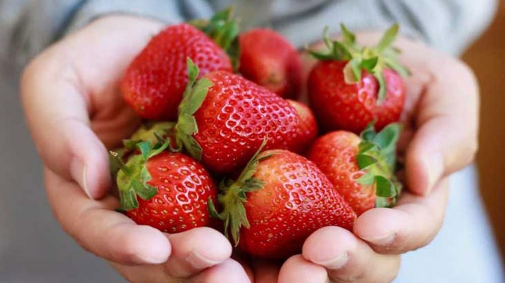 The Weekend Leader - Eat strawberries, oranges daily to cut risk of cognitive decline
