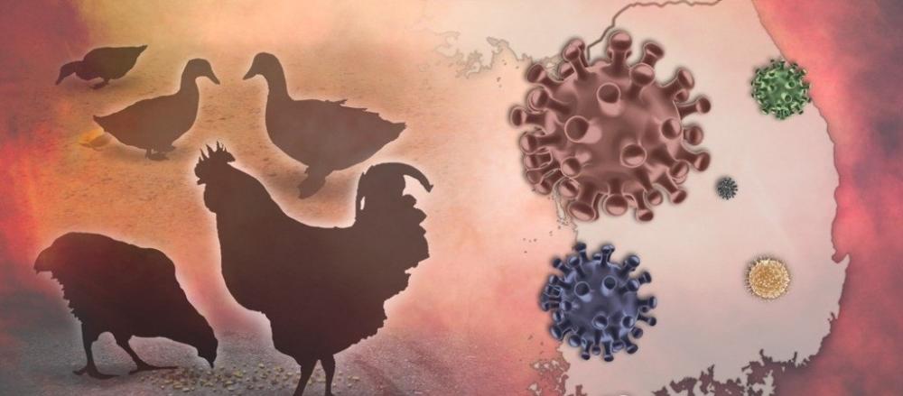 The Weekend Leader - Chile detects 1st human case of H5N1 bird flu