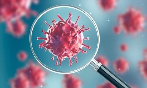 The curious case of Nagaland's lone Covid-19 patient  ?