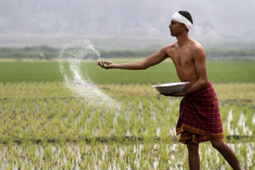 Indian farmer emerged as superhero amid Covid-19 lockdown