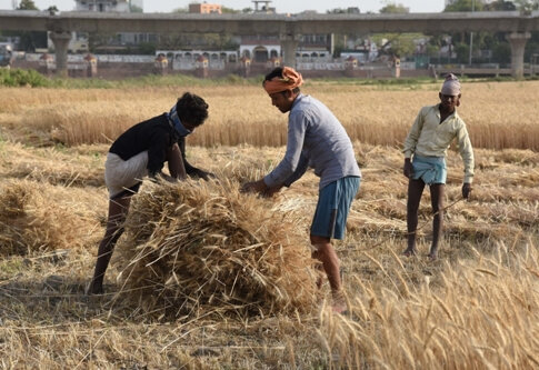 Farmers to get crops' price within 3 days: Govt