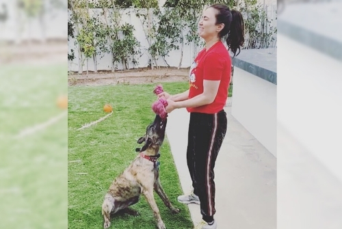 Preity Zinta uses pet pup Bruno as weight in funny workout video  ?