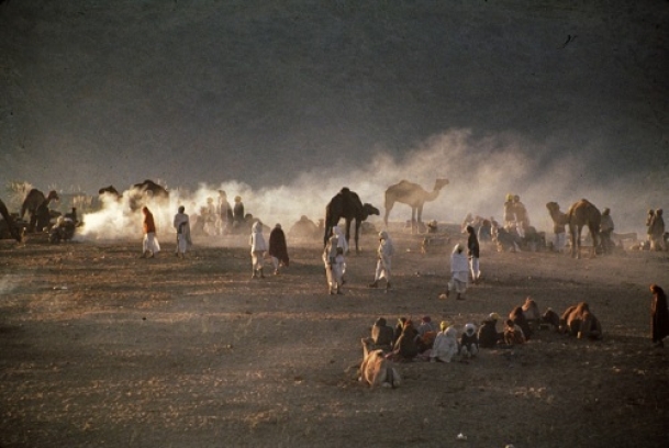 Discovering Rajasthan beyond deserts