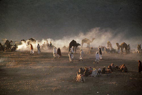 The Weekend Leader - Discovering Rajasthan beyond deserts