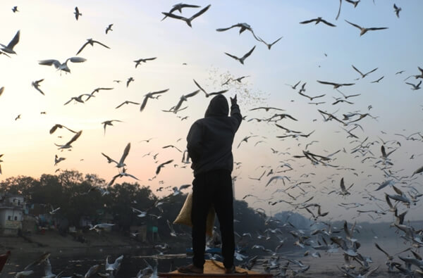 The Weekend Leader - Vaduvoor Bird Sanctuary in Tamil Nadu is a Favourite Winter Home for Migratory Birds 