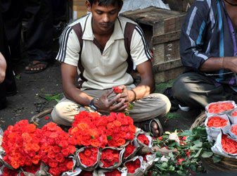 The Weekend Leader - Nepal imports 100,000 red roses from India for V-day  