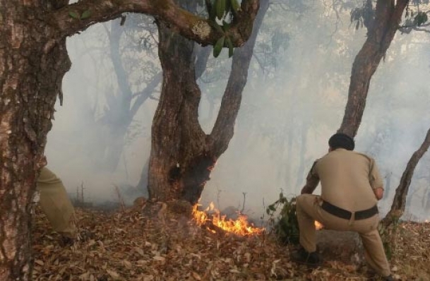 The Weekend Leader - Forest fires ravage 3,000 hectares in Himachal