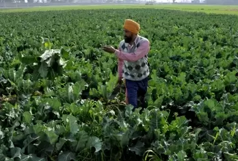 Agri-infra development levy imposed to shore up revenue