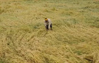 Yogi govt compensates farmers for crop loss