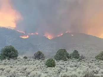 California wildfire burns over 244,000 acres