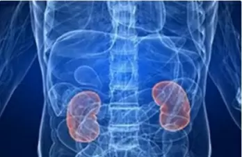 Kidney damage is silent killer in Covid patients, say USA's top docs