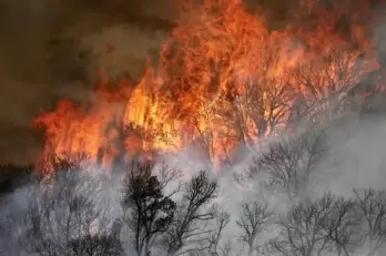 Three major wildfires raging in N.California