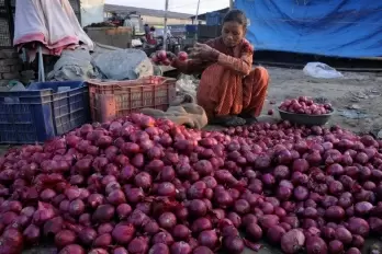 Bumper yield of onions in 2021, Centre will create a record with 2 lakh tons buffer stock