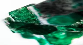 Rhino' emerald discovered