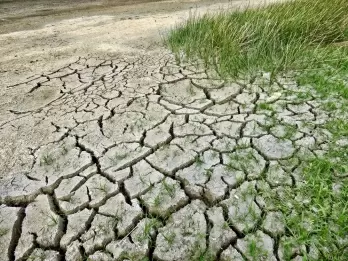 Droughts to increase in India, South Asia: IPCC report