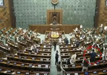 Two Men Jump From Visitor's Gallery In Lok Sabha, Lit Smoke Sticks, Say MPs