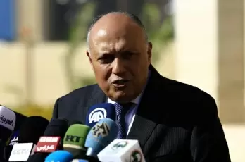 Egyptian FM calls on new Israeli govt to resume regional peace process