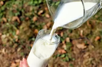 Karnataka resumes free milk distribution to boost immunity