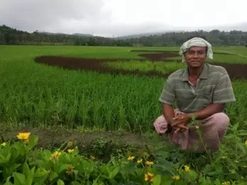 Teacher-turned-farmer creates 'paddy art' to promote farming
