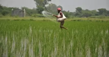 No shortage of fertilisers, says Haryana minister