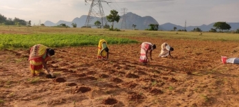 Andhra to drill borewells for needy farmers under YSR Jala Kala