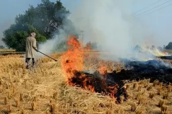Punjab, Haryana farmers sensitised on stubble management