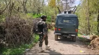 3 terrorists killed in Kashmir encounter refused to surrender