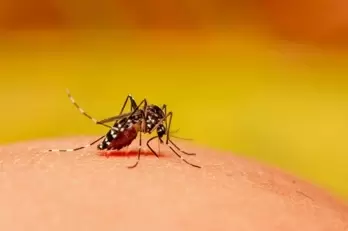 UP govt sounds alert on Zika virus