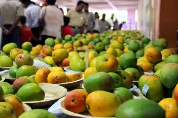 Covid surge casts shadow on mango business in UP